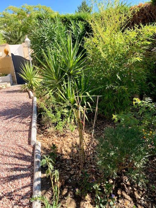 Charmante Villa Avec Une Ame. Pignan Eksteriør bilde